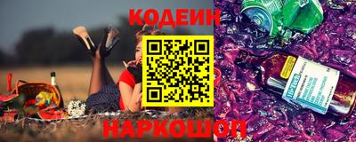 индика Новодвинск