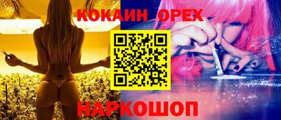 индика Новодвинск