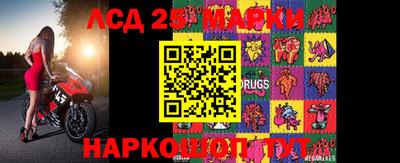индика Новодвинск