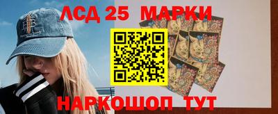 индика Новодвинск