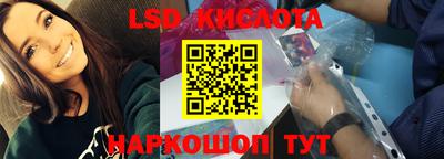индика Новодвинск