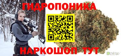 индика Новодвинск