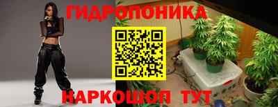 mix Новозыбков