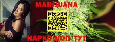 индика Новодвинск