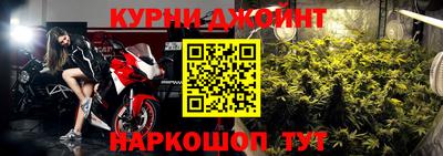 индика Новодвинск